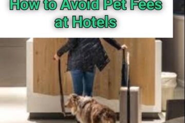 How to Avoid Pet Fees at Hotels